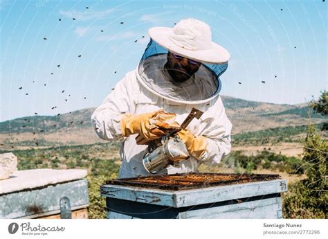 Beekeeper Working Collect Honey A Royalty Free Stock Photo From