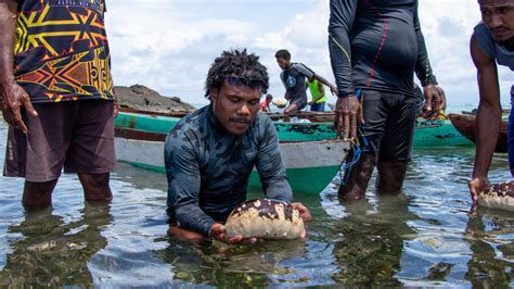 There are approximately 860 other languages. In Pictures: Saving Papua New Guinea's Sea Cucumbers