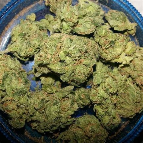 Different Ranks Of Bud Grasscity Forums The 1