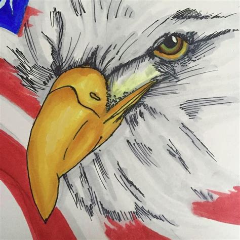 American Eagle Drawing By Wendy Chase Fine Art America