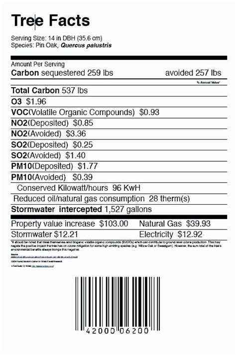 Blank Nutrition Facts Label Template Word Doc / Blank Nutrition Facts