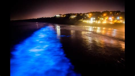 Stunning Bioluminescence In The Ocean In La Jolla Ca Youtube