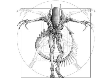 Click here to visit our gallery Pin on AvP
