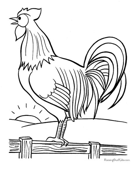 Coloring Book Rooster Coloring Pages