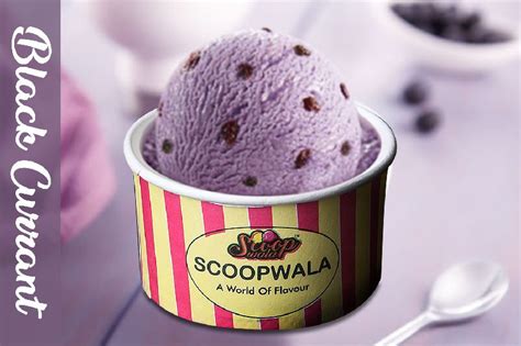 Scoopwala Black Currant Ice Cream For Office Pantry Home Purpose