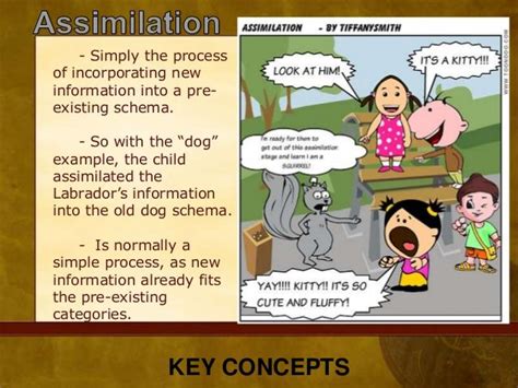 Examples Of Assimilation And Accommodation In Psychology