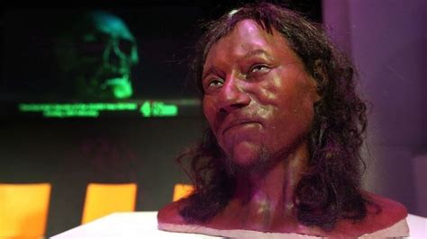 Cheddar Man Dna Shows Early Briton Had Dark Skin Bbc News