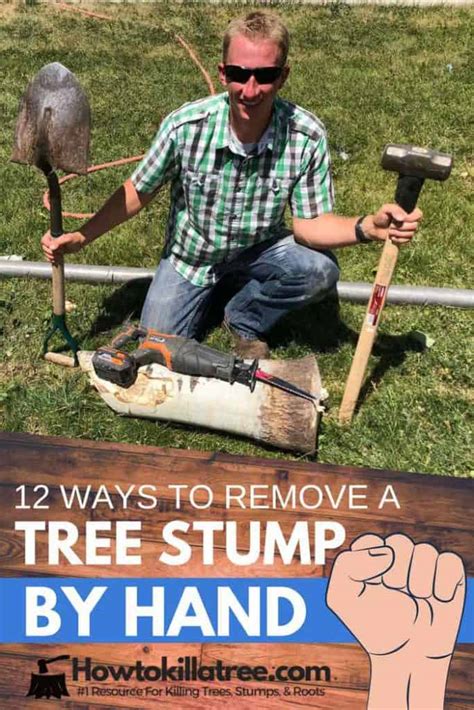 12 Ways To Remove A Tree Stump By Hand Backyardables