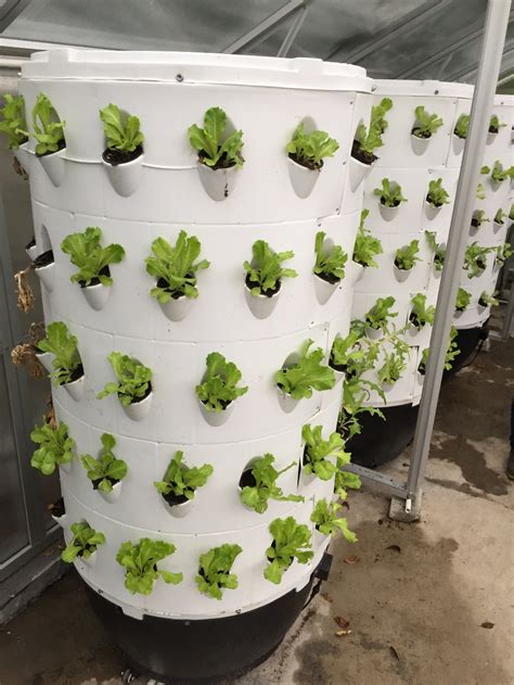 Aeroponic Tower Garden Onepronic