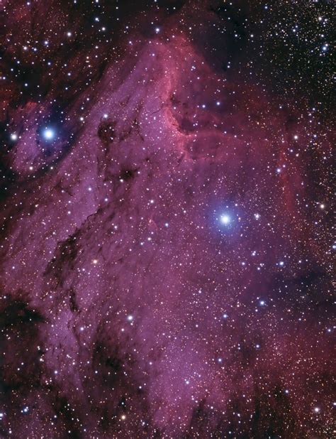 Pelican Nebula Svx130t Photo Gallery Cloudy Nights