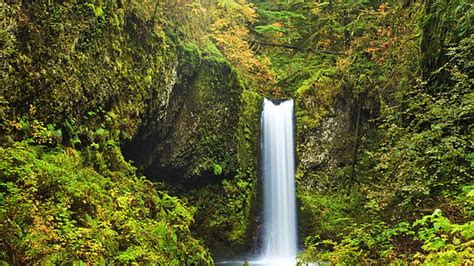 Hd Wallpaper Beautiful Waterfall Rocks Green Moss Proxy Falls Eugene