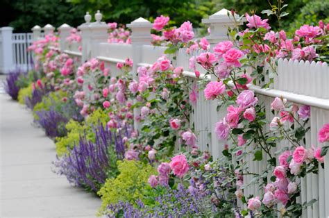 40 Beautiful Garden Fence Ideas