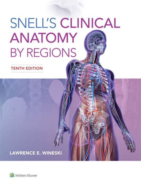 Snells Clinical Anatomy By Regions Edition 10 By Lawrence E Wineski