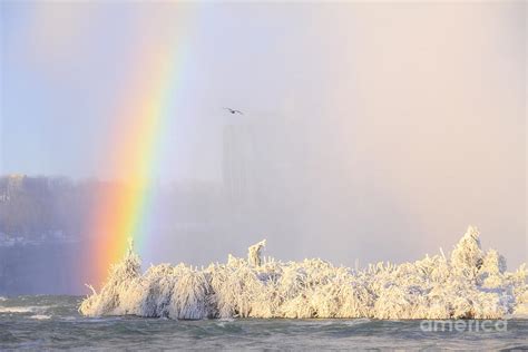 Winter Rainbow Photograph By Charline Xia Fine Art America