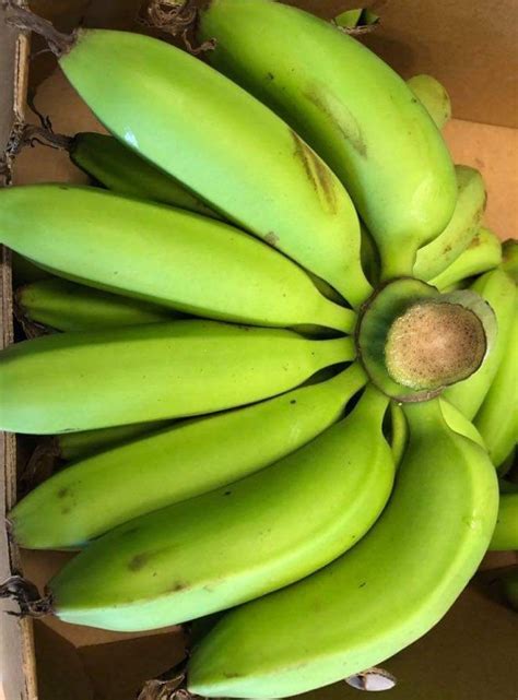 Organic Banana Farm Freshkg Tenth Mart
