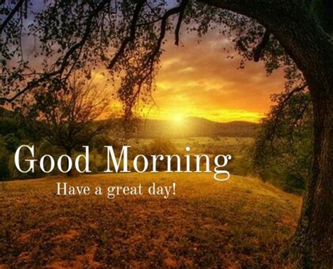 Sunshine Good Morning Vibes Special Free Good Morning Ecards 123