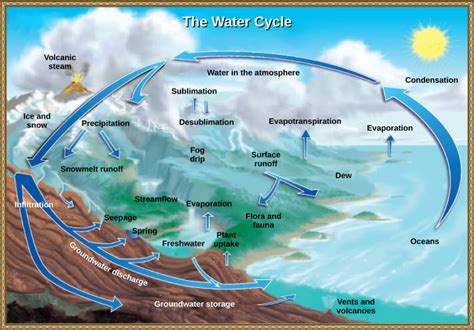 The Hydrologic Cycle Biology For Non Majors Ii