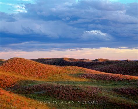 The Sandhills Sandhills Of Nebraska Gary Alan Nelson Photography