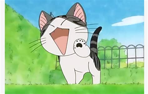 Maybe you would like to learn more about one of these? 14 cartoon cats Chinese love - Global Times