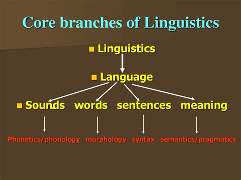 Linguistics An Introduction Online Presentation