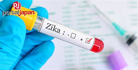 6 More Zika Cases Recorded In Philippines Portal Japan