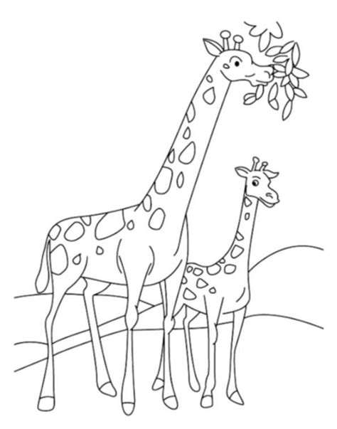 Print And Download Giraffe Coloring Pages For Kids To Have Fun