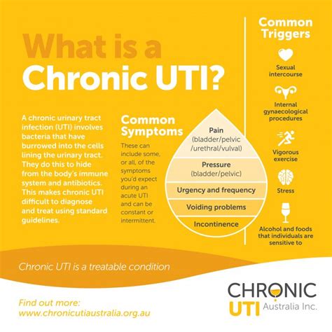 What Is Chronic Utichronic Uti Australia2020 Chronic Uti Australia