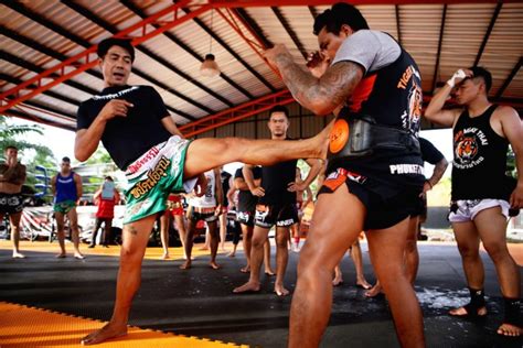 tiger muay thai truly a place for everyone mma plus
