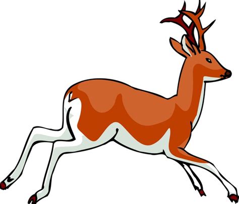 Download High Quality Deer Clipart Jumping Transparent Png Images Art