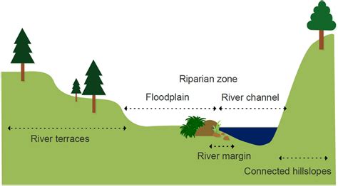 Illustrative Cross Section Of A River Channel And Its Valley Annotated