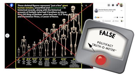 Politifact Tales Of ‘unearthed And Documented’ Giant Human Skeletons Don T Have A Leg To Stand On