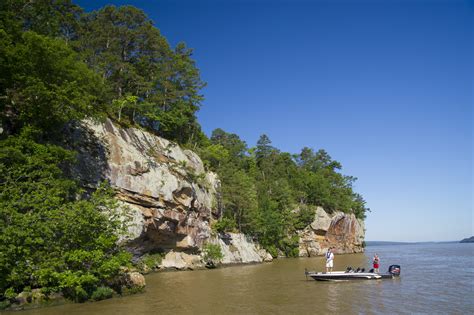 Arkansas Has Six of the Country's Top 50 Crappie Lakes | Arkansas.com