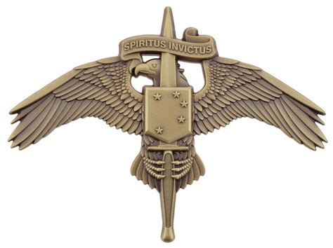 Marine Corps Badge Marsoc Antique Large Marsoc Marsoc Raiders Usmc
