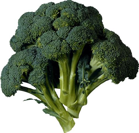 Broccoli Png