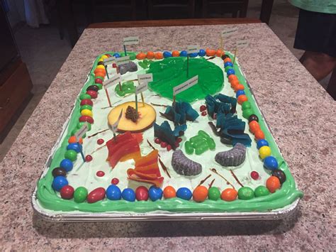 Plant Cell Model Cake A Bobby Swanson