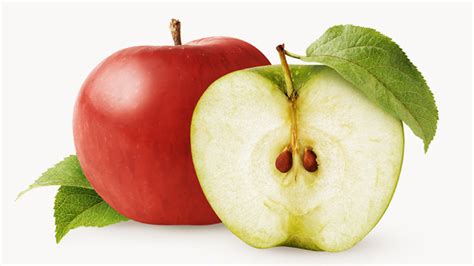 Did You Know That Apple Seeds Contain Cyanide But How Much Is Lethal