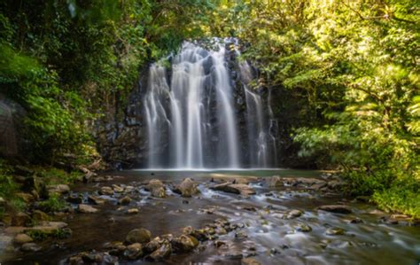 Atherton Tablelands Waterfall Day Tour In Cairns Australia Outdoortrip