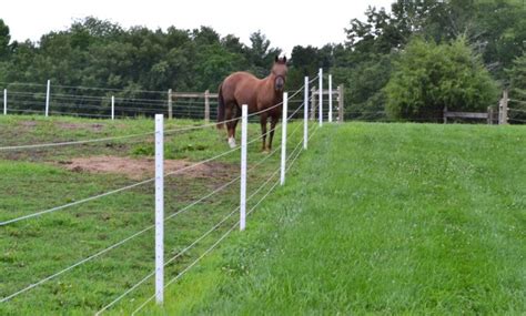 Equi Safe Horse Fencing Fence Ideas Site