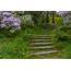 Stairsteps In Spring Seattles Washington Park Arboretu…  Flickr