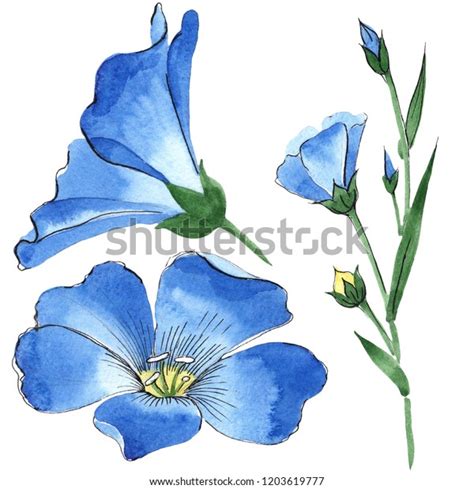 Watercolor Blue Flax Flower Floral Botanical Stock Illustration