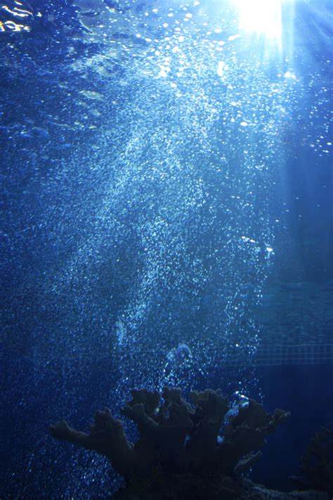 Underwater Stock 02 By Koko Stock On Deviantart