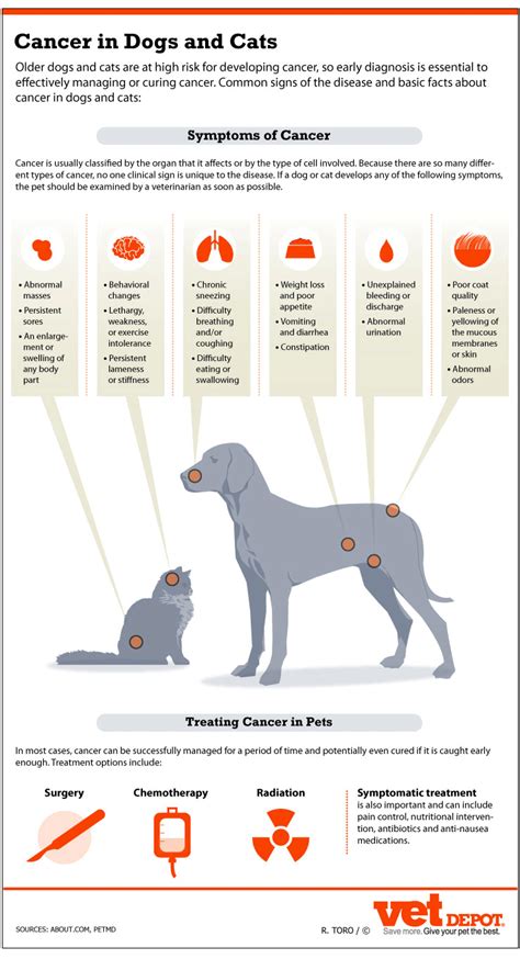 Dog Tumors Pictures The O Guide