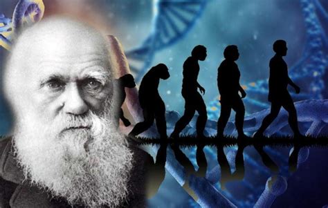 Prominent Yale Professor Explains How Darwins Theory Of Evolution