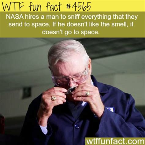 25 Fun Facts That Will Make You Say Wtf 25 Pics