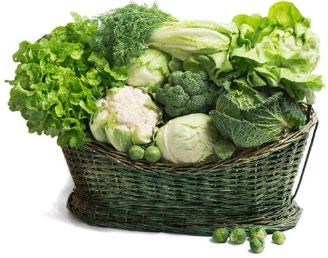 Health Benefits Of Dark Green Leafy Vegetables