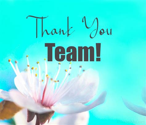 125 Thank You And Congratulations Messages For Team Team Quotes
