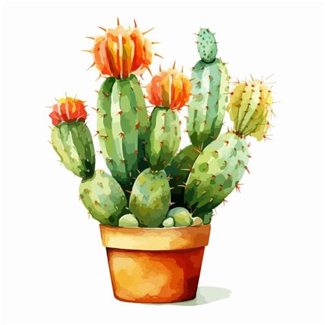 Premium Vector Watercolor Vector Illustration Of A Set Of Cacti And