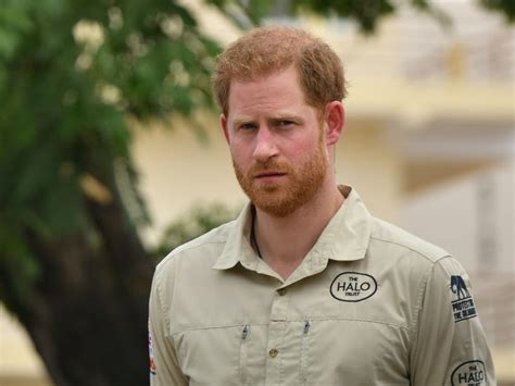Prince Harry Calls For ‘doing Not Talking On Environment And Climate