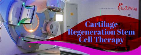 Stem Cell Treatment For Cartilage Regeneration