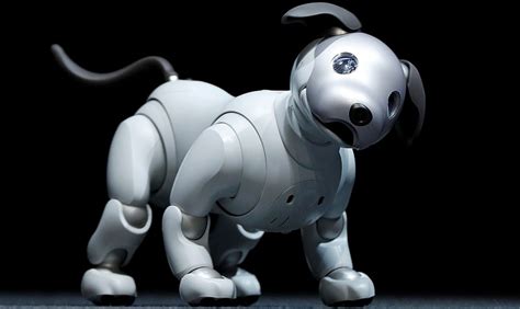 Sony Launches New Aibo Robot Dog As It Revives Pet Ai Project